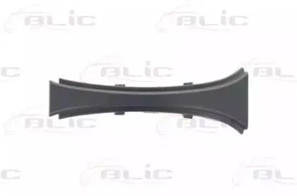 6502-07-0076993P BLIC Облицовка / защитная накладка, облицовка радиатора 6502-07-0076993P BLIC Облицовка / защитная накладка, облицовка радиатора