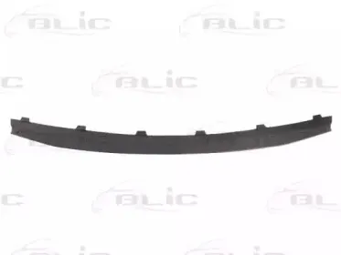 6502-07-1302992P BLIC Облицовка / защитная накладка, облицовка радиатора 6502-07-1302992P BLIC Облицовка / защитная накладка, облицовка радиатора