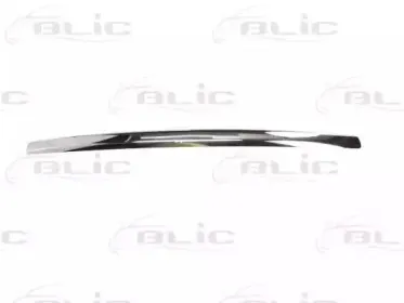 6502-07-2556993P BLIC Облицовка / защитная накладка, облицовка радиатора 6502-07-2556993P BLIC Облицовка / защитная накладка, облицовка радиатора