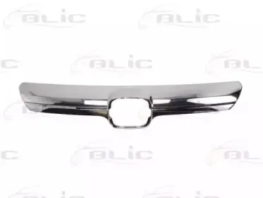6502-07-2957991P BLIC Облицовка / защитная накладка, облицовка радиатора 6502-07-2957991P BLIC Облицовка / защитная накладка, облицовка радиатора