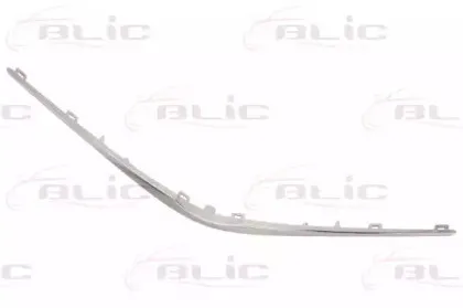 6502-07-8156211Q BLIC Облицовка / защитная накладка, облицовка радиатора 6502-07-8156211Q BLIC Облицовка / защитная накладка, облицовка радиатора