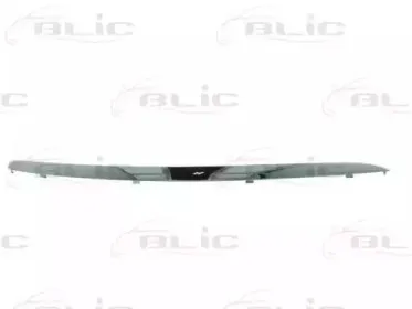 6502-07-9544924P BLIC Облицовка / защитная накладка, буфер 6502-07-9544924P BLIC Облицовка / защитная накладка, буфер