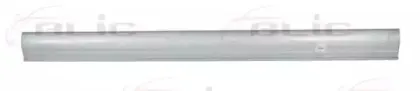 6505-06-3166016P BLIC Накладка порога 6505-06-3166016P BLIC Накладка порога