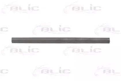 6505-06-5519016P BLIC Накладка порога 6505-06-5519016P BLIC Накладка порога