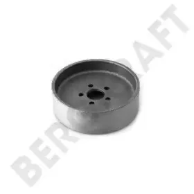 BK8401854 BERGKRAFT Ременной шкив, водяной насос BK8401854 BERGKRAFT Ременной шкив, водяной насос