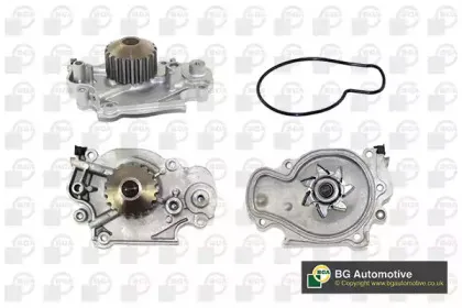 CP18502 BGA Водяной насос CP18502 BGA Водяной насос