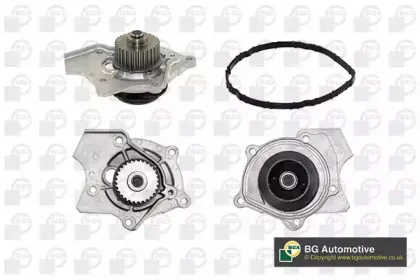 CP3916 BGA Водяной насос CP3916 BGA Водяной насос