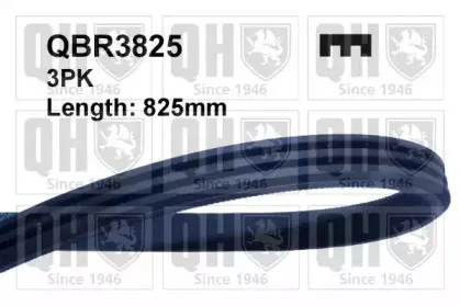 QBR3825 QUINTON HAZELL Поликлиновой ремень QBR3825 QUINTON HAZELL Поликлиновой ремень