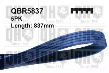 QBR5837 QUINTON HAZELL Поликлиновой ремень QBR5837 QUINTON HAZELL Поликлиновой ремень
