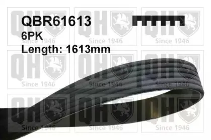 QBR61613 QUINTON HAZELL Поликлиновой ремень QBR61613 QUINTON HAZELL Поликлиновой ремень