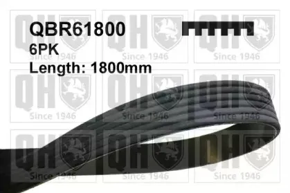 QBR61800 QUINTON HAZELL Поликлиновой ремень QBR61800 QUINTON HAZELL Поликлиновой ремень