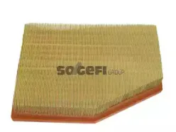 CA10022 FRAM Воздушный фильтр CA10022 FRAM Воздушный фильтр
