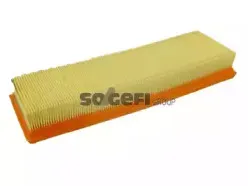 CA10251 FRAM Воздушный фильтр CA10251 FRAM Воздушный фильтр