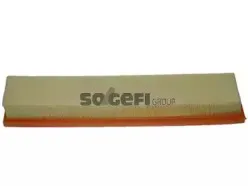 CA10306 FRAM Воздушный фильтр CA10306 FRAM Воздушный фильтр