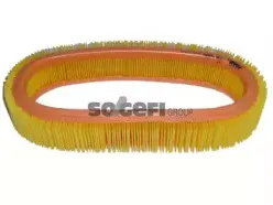 CA5309 FRAM Воздушный фильтр CA5309 FRAM Воздушный фильтр