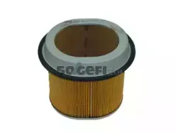 CA6362 FRAM Воздушный фильтр CA6362 FRAM Воздушный фильтр