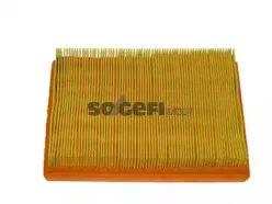 CA8674 FRAM Воздушный фильтр CA8674 FRAM Воздушный фильтр