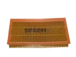 CA8779 FRAM Воздушный фильтр CA8779 FRAM Воздушный фильтр