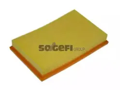 CA9015 FRAM Воздушный фильтр CA9015 FRAM Воздушный фильтр