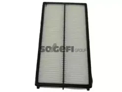CA9019 FRAM Воздушный фильтр CA9019 FRAM Воздушный фильтр
