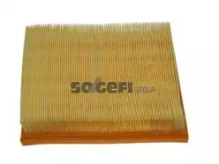 CA9102 FRAM Воздушный фильтр CA9102 FRAM Воздушный фильтр