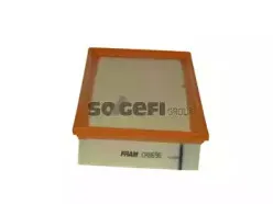 CA9696 FRAM Воздушный фильтр CA9696 FRAM Воздушный фильтр
