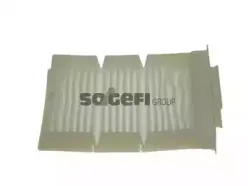 CF10080 FRAM Фильтр, воздух во внутренном пространстве CF10080 FRAM Фильтр, воздух во внутренном пространстве