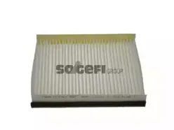 CF9787 FRAM Фильтр, воздух во внутренном пространстве CF9787 FRAM Фильтр, воздух во внутренном пространстве