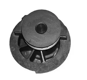 352316170875 MAGNETI MARELLI Водяной насос 352316170875 MAGNETI MARELLI Водяной насос