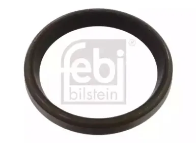 febibilstein-01060
