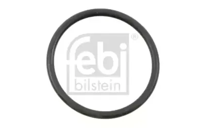febibilstein-01061