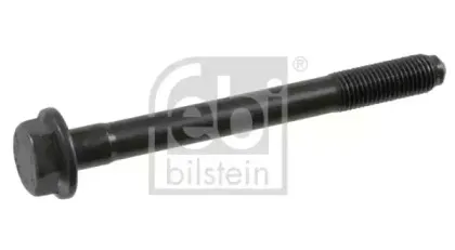 febibilstein-01198