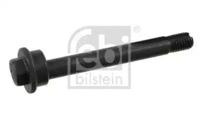 febibilstein-01249