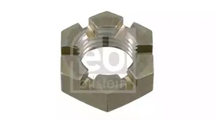 febibilstein-01402