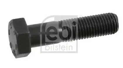 febibilstein-01634