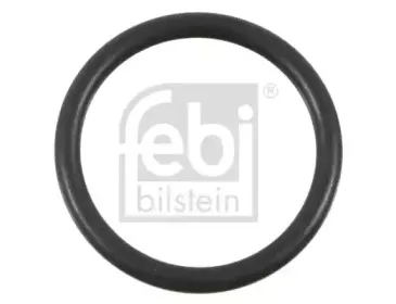 febibilstein-01680