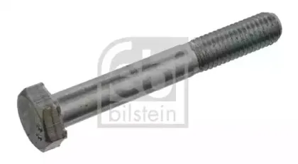 febibilstein-01950