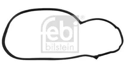 febibilstein-01961