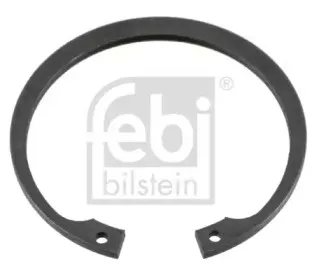 febibilstein-01973