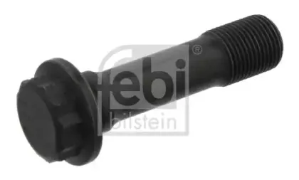 febibilstein-02319