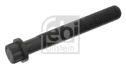 febibilstein-02499