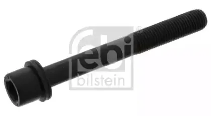 febibilstein-02623