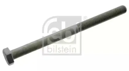 febibilstein-02882