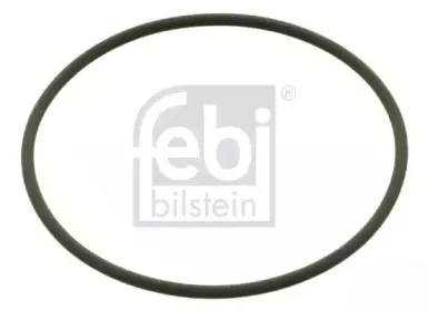 febibilstein-02943