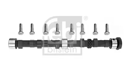 febibilstein-03006