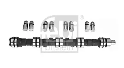 febibilstein-03016