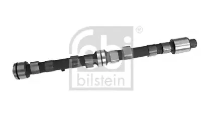 febibilstein-03021