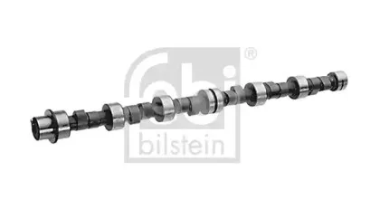 febibilstein-03047