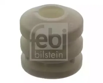 febibilstein-03098