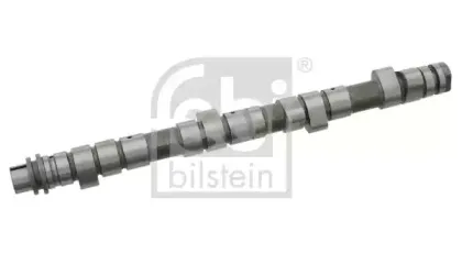 febibilstein-03121